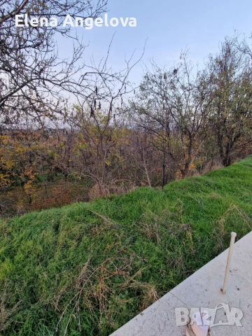 Два парцела в с. Чешнегирово, УПИ 1085 кв, УПИ 2036 кв, снимка 14 - Парцели - 52515241