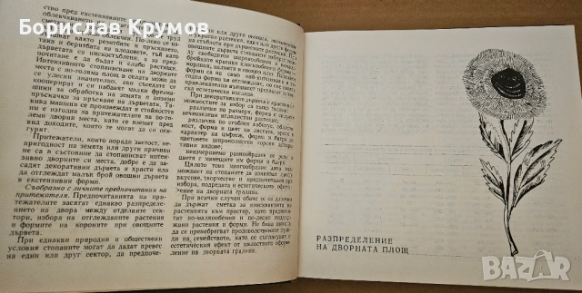 Дворът - съвременна домашна градина, снимка 2 - Специализирана литература - 52776055
