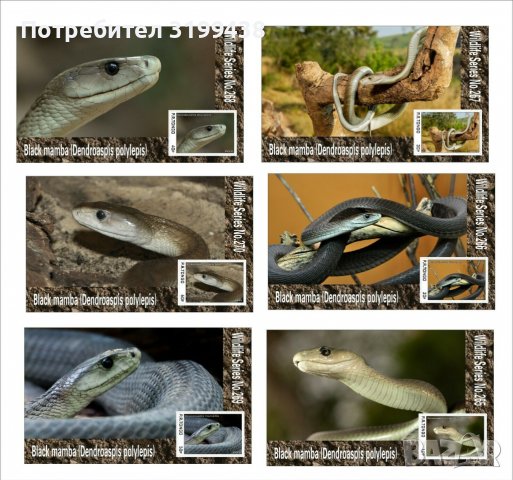 Чисти блокове Фауна Змии Черна мамба 2020 от Тонго, снимка 1 - Филателия - 37604505