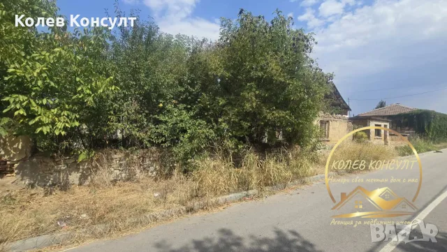 парцел със стара къща Димитровград,кв.Черноконево, снимка 6 - Къщи - 56069599