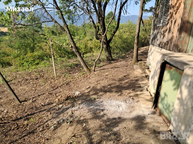 Намалена цена!, снимка 6 - Вили - 50933030