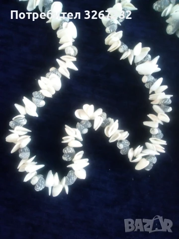 Гердани,Кубински,Редки Морски Раковини, снимка 5 - Колиета, медальони, синджири - 51310916