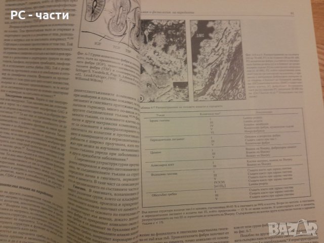 Основи на пародонтологията - Уилсон , Корнман - 1999г. ,470стр., снимка 8 - Специализирана литература - 42554802