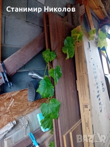 гардероби 2бр. Дву и три крилен с, снимка 2 - Гардероби - 52331037