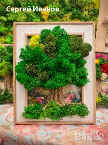 Картина с жив мъх 21х26 – ръчна изработка, уникален подарък