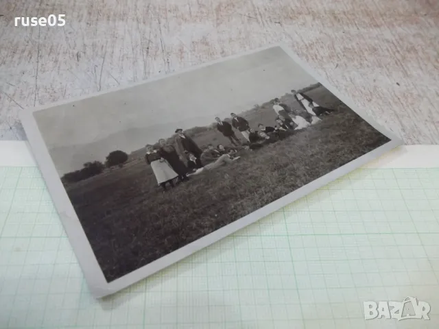 Снимка стара на група младежи в полето, снимка 3 - Колекции - 47912719