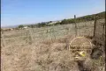 парцел село Бисер, снимка 4