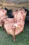 Две      кресла, снимка 8