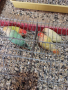 Продавам папагали , снимка 1 - Папагали - 44532610