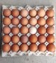 домашни кокоши яйца, снимка 1