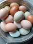 Домашни яйца, снимка 2
