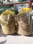 Продавам лешници , снимка 3