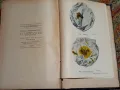 Основи на микро педиатрията ( болести на първото детство ), снимка 4