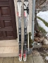 Ски 170 см. и щеки, снимка 1