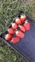 продавам расад ягоди и малини, снимка 10