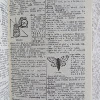 Simple English Dictionary, нов , снимка 3 - Чуждоезиково обучение, речници - 29895198