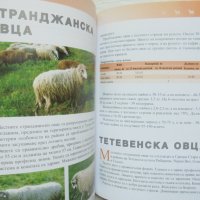 Книга Генетичните ресурси в животновъдството в България - Костадин Желев и др. 2010 г., снимка 6 - Специализирана литература - 37278923