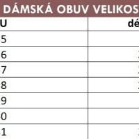 ДАМСКИ БОТИ, 2ЦВЯТА - 023, снимка 8 - Дамски боти - 35164484