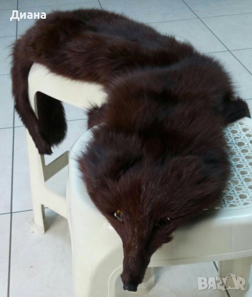 Кожена яка от кафява лисица, снимка 1