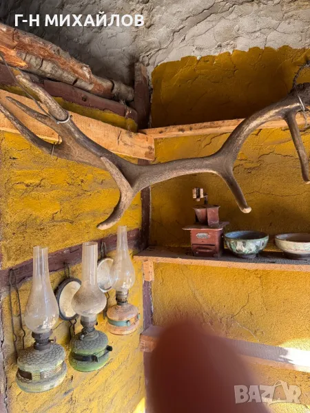 Рога от благороден елен , снимка 1