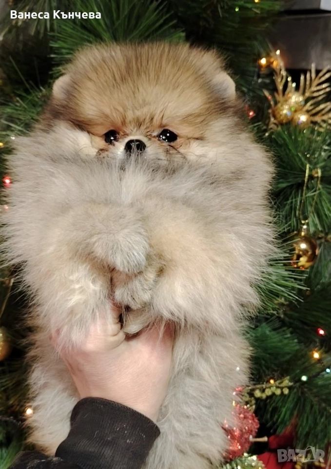 момченце, снимка 1