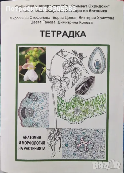 Анатомия и морфология на растенията , снимка 1
