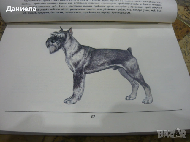 Породите кучета в България-Андрей Мицулов, снимка 4 - Специализирана литература - 48654909