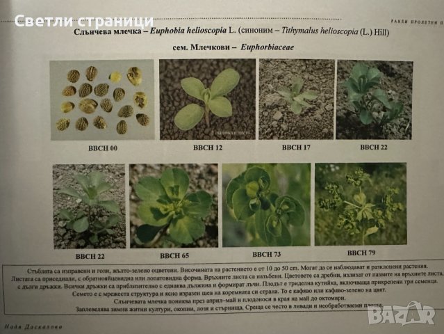 Помагало по хербология, снимка 8 - Специализирана литература - 44166351