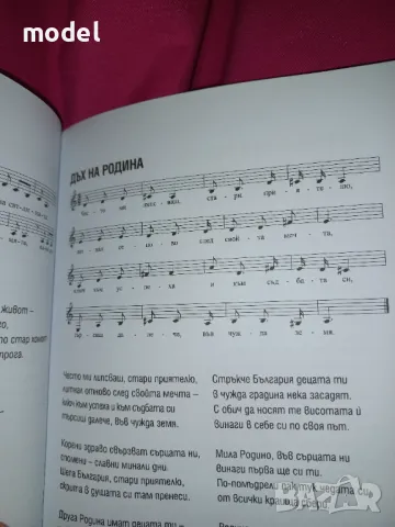 Целебни песни - Лидия Линдрова, снимка 5 - Други - 49062262