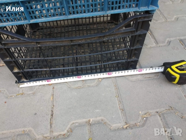 щанги за зеленчуци , снимка 3 - Градински цветя и растения - 51789950