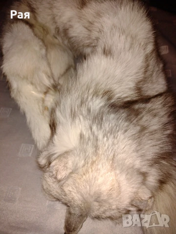 Шал яка от полярна бяла лисица, снимка 6 - Шалове - 50663133