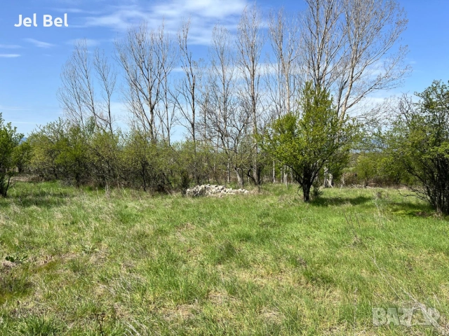 1.2 Дка Парцел / Дворно Място в Казанлък / Енина вилна зона "Старите Лозя" , снимка 7 - Парцели - 52512384