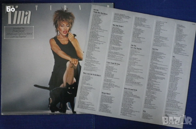 грамофонни плочи Tina Turner, снимка 7 - Грамофонни плочи - 52315211