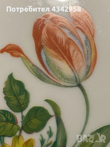 Seltmann Weiden. 1954 г. Порцеланова чиния., снимка 6 - Антикварни и старинни предмети - 52898818