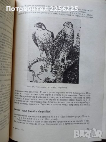 Дивеч и лов, снимка 4 - Специализирана литература - 50161294
