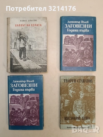 Заговезни. Година първа - Димитър Вълев
