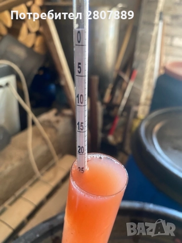 Грозде мерло и каберне, снимка 1