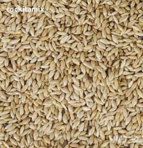 Канарос - 1 килограм