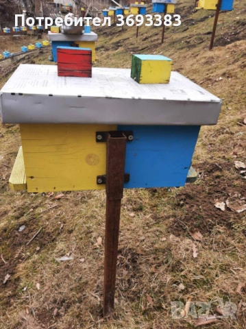 Предлагам пчелни майки и отводки