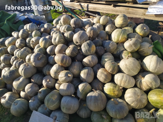 Тикви - дребни 