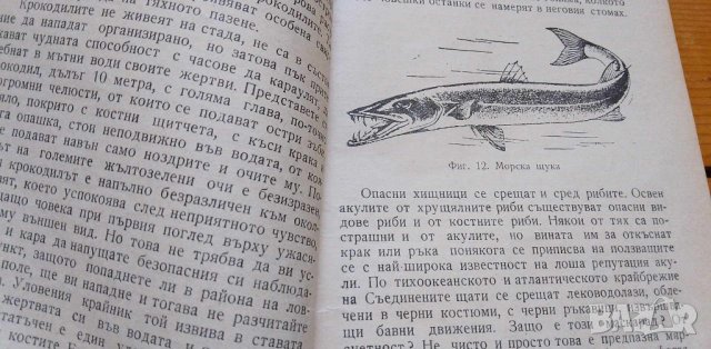 Опасни морски животни - Койка Александрова, снимка 4 - Българска литература - 42757311