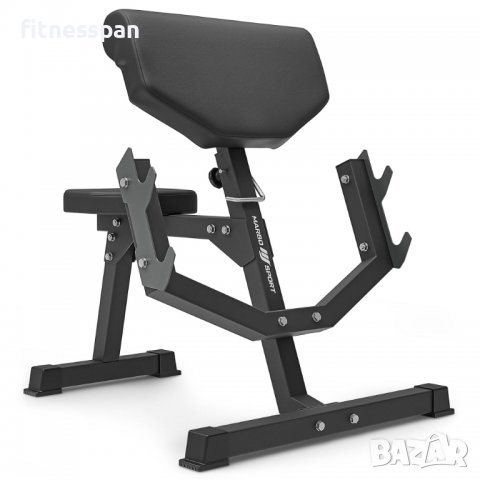 Скотова пейка