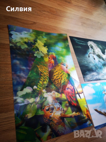 Картини 3D    , снимка 2 - Картини - 36559152