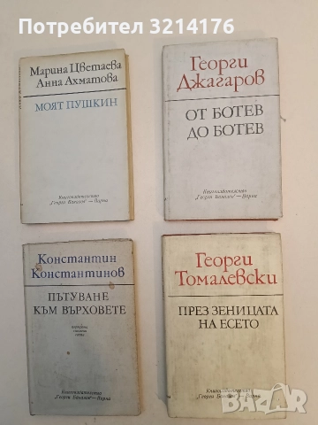 През зеницата на есето - Георги Томалевски