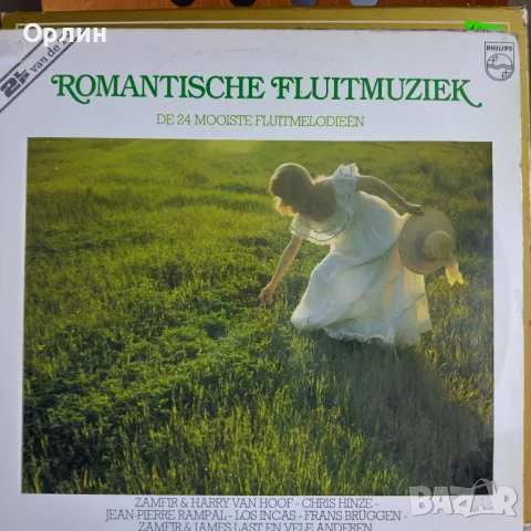 Грамофонни плочи - разни, снимка 11 - Грамофонни плочи - 50361298