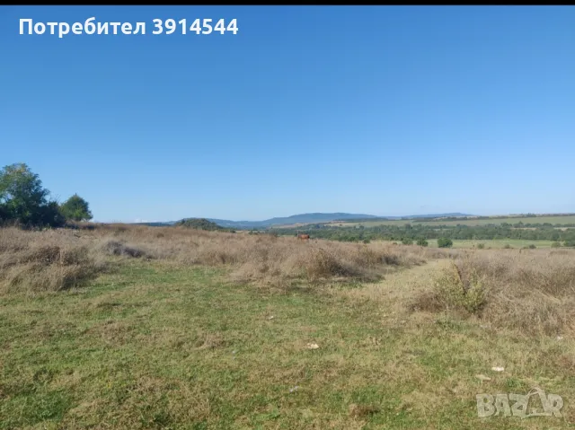 Дворно място, снимка 3 - Парцели - 47950126