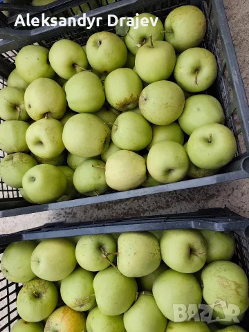 Круши, Ябълки,Мед и Сокове , снимка 12 - Домашни продукти - 56258345