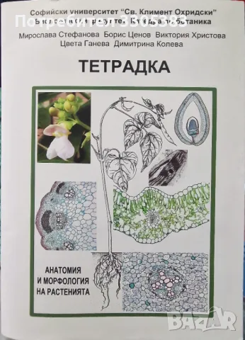 Анатомия и морфология на растенията 