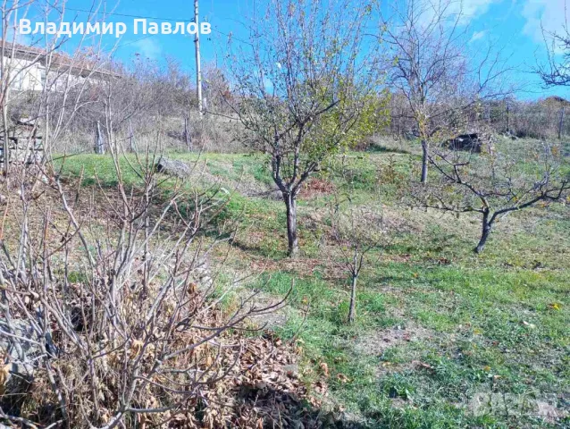 Продавам къща село Плешивец област Видин, снимка 9 - Къщи - 48145269