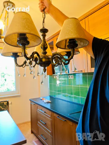 Полилей нов! , снимка 3 - Полилеи - 50080802